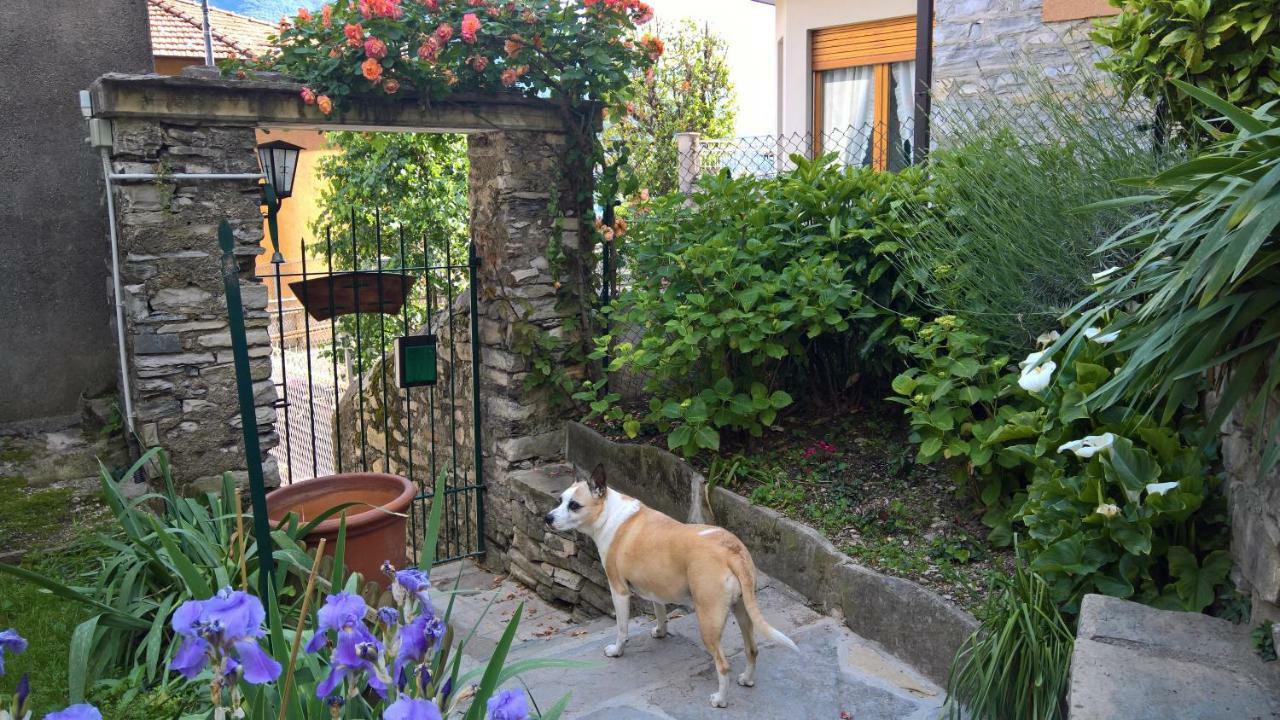 B&B "A Casa Di Camilla" Carate Urio Kültér fotó